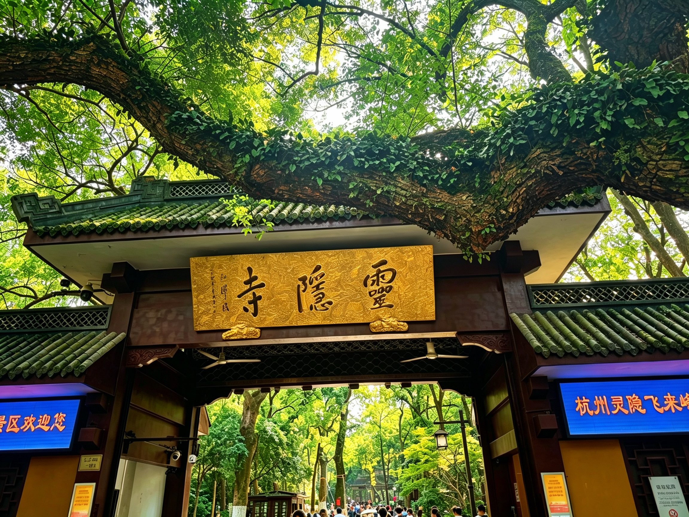 杭州相册第 13 张照片